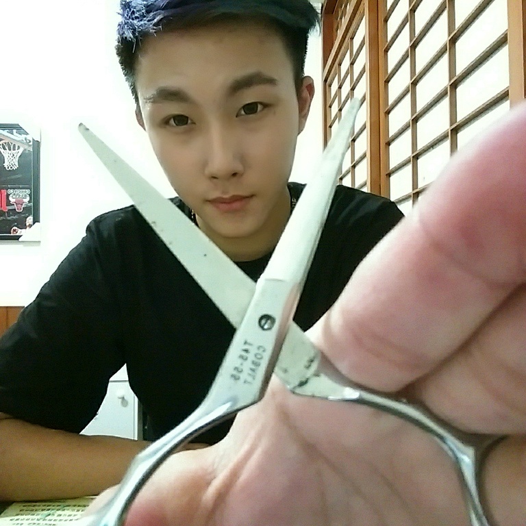 陳嘉炘