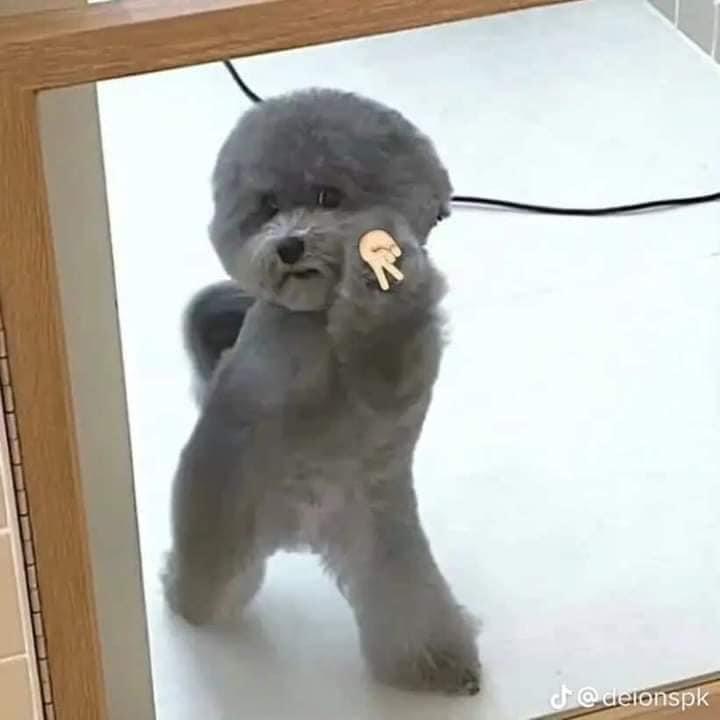 ㄠㄠㄠ