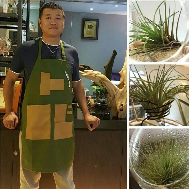 紀宏德