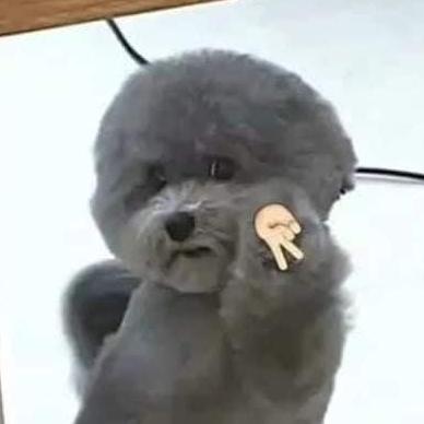 翔哥
