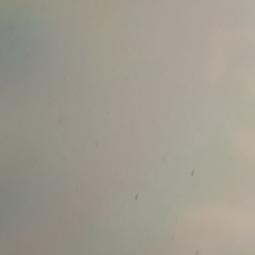 小編（請勿預約此帳號）