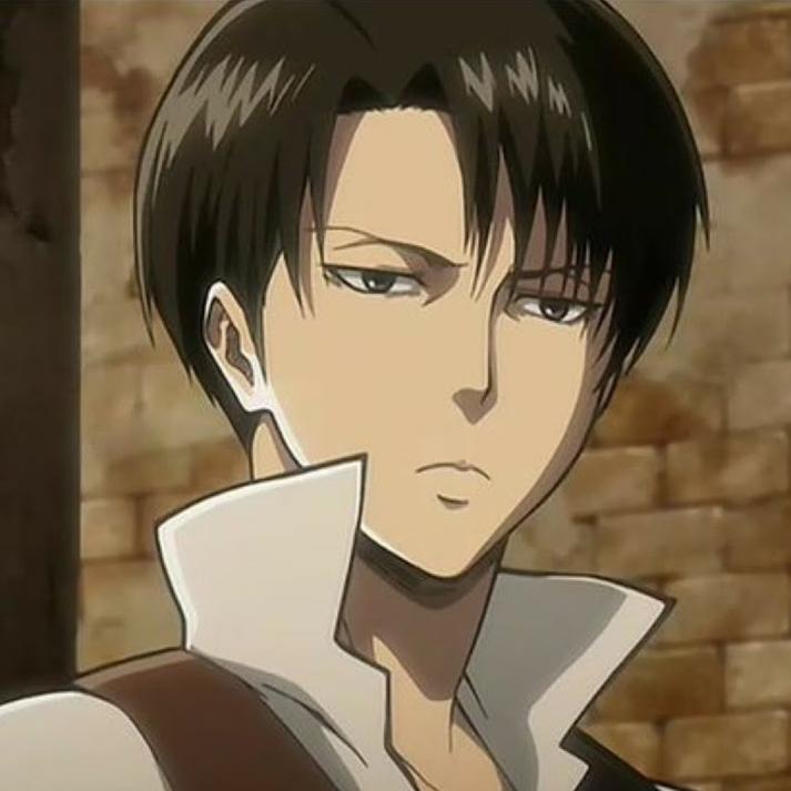 Levi