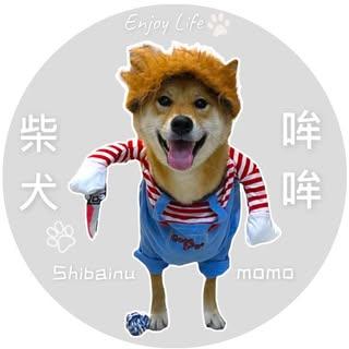 qq00228