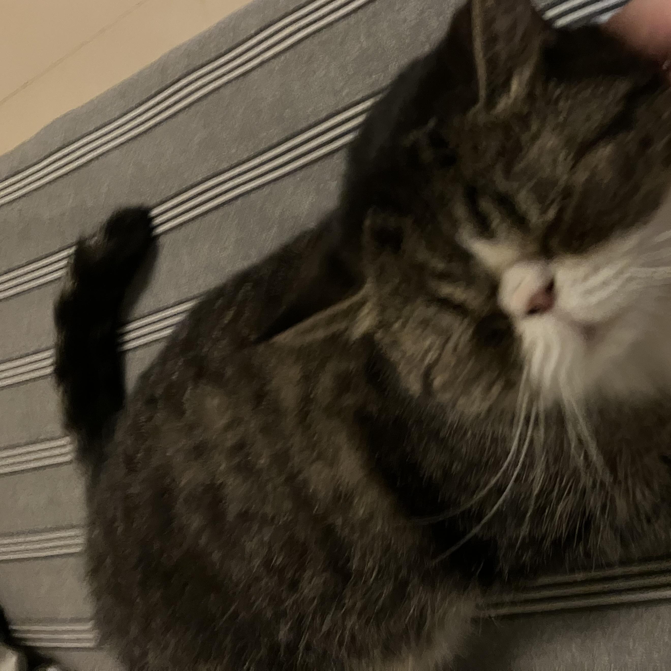 不指定預約櫃台