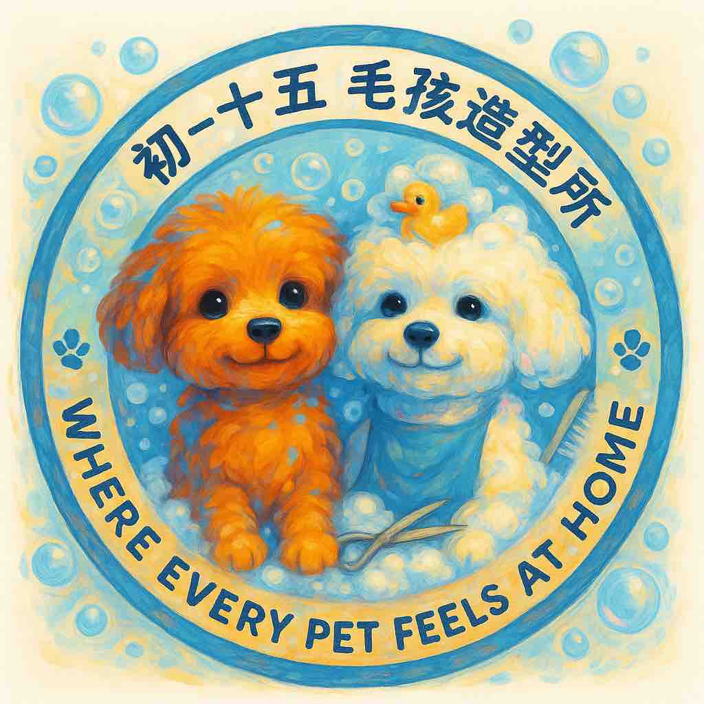 初一十五毛孩造型所