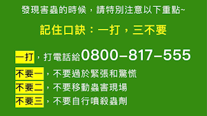 心力白蟻除蟲消毒